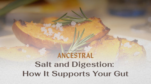 Salt and Digestion: How It Supports Your Gut